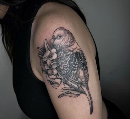 Tattoos - Sadie Gabriella Parakeet - 144561
